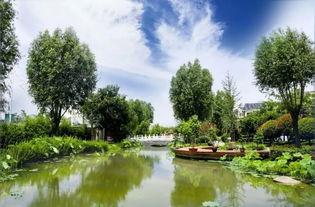 中牟(mou)縣(xian)雁(yan)鳴(ming)湖鎮(zhen) 旅(lv)遊(you) 農(nong)業(ye) 生(sheng)態(tai) 融(rong)合(he)發(fa)展 繪(hui)就(jiu)全(quan)域(yu)旅(lv)遊(you) 新(xin)畫(hua)卷