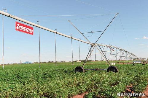 鵬睿(rui)集團 田園綜合體(ti) 振(zhen)興(xing)鄉村戰(zhan)略(lve)發(fa)展