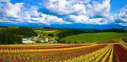 關(guan)註(zhu)農(nong)業(ye)休(xiu)閑(xian)綜合(he)體!以旅(lv)遊休閑(xian)為(wei)導向的土地(di)綜合(he)開發(fa)新(xin)模式(shi)