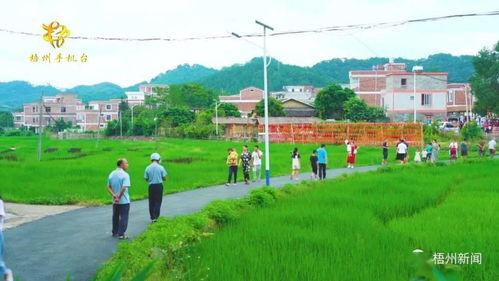 雙節(jie) 假(jia)期梧州(zhou)旅(lv)遊人次(ci)和旅(lv)遊消費同比(bi)恢(hui)復(fu)超(chao)八(ba)成