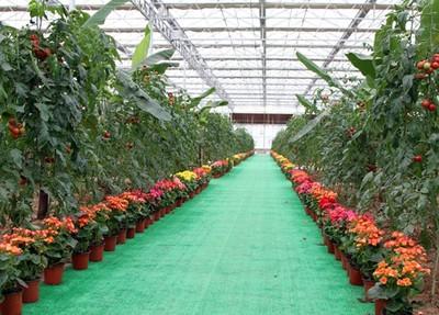 阿壩職(zhi)業學院(yuan)熱門專業簡介