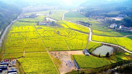 【特(te)別(bie)關註(zhu)】深(shen)耕兩年(nian),六(liu)安(an)這(zhe)個區(qu)孕育出(chu)&ldquo;美(mei)麗(li)經濟&rdquo;