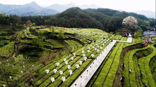 劉(liu)力(li) 疫情對(dui)文旅行(xing)業(ye)發(fa)展帶(dai)來(lai)的改變(bian)