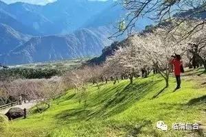 如(ru)何區(qu)分(fen)鄉(xiang)村旅遊(you)和(he)休(xiu)閑(xian)農業這(zhe)兩個(ge)概念