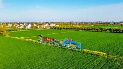 陶(tao)莊鎮(zhen)奏(zou)響鄉村(cun)振(zhen)興&ldquo;協奏(zou)曲&rdquo; 書寫(xie)美(mei)麗城(cheng)鎮(zhen)共同(tong)富裕&ldquo;新答(da)卷(juan)&rdquo;