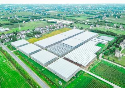 廣(guang)陳(chen)鎮(zhen)綠(lv)跡數字(zi)農業(ye)工廠(chang)扮(ban)靚農業(ye)特(te)色美(mei)麗城(cheng)鎮(zhen)