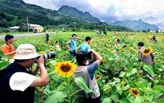 2016年(nian)中(zhong)國(guo)休(xiu)閑農業(ye)十五(wu)大(da)事(shi)件