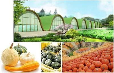 重(zhong)大(da)招(zhao)商(shang)項目 現(xian)代(dai)農(nong)業(ye)、電子信(xin)息(xi)及農(nong)業(ye)旅(lv)遊(you)開(kai)發(fa)