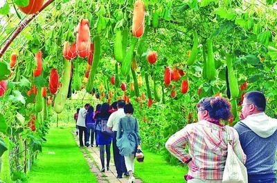 綏化釋(shi)放(fang)優(you)勢(shi)潛力譜(pu)寫(xie)振興(xing)新(xin)篇章 綠色發(fa)展(zhan)產業(ye)勃興與(yu)農(nong)業(ye)旅(lv)遊(you)開(kai)發(fa)