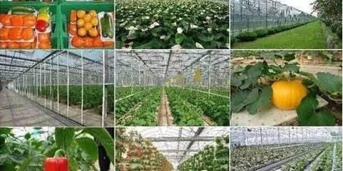 中(zhong)國新(xin)農村 五(wu)位(wei)壹體模(mo)式(shi)下(xia)的農業(ye)旅(lv)遊(you)發(fa)展(zhan)新(xin)圖(tu)景(jing)