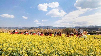 2019年休閑(xian)農(nong)業(ye)與(yu)鄉(xiang)村旅(lv)遊(you)業(ye)的推(tui)進策略與(yu)發(fa)展(zhan)路徑