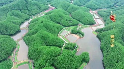 2020年度省(sheng)級休閑(xian)農(nong)業(ye)與(yu)鄉(xiang)村旅(lv)遊(you)示(shi)範(fan)鎮(zhen)示(shi)範(fan)點公示(shi) 高要兩處(chu)上(shang)榜，助推(tui)農(nong)業(ye)旅(lv)遊(you)開(kai)發(fa)