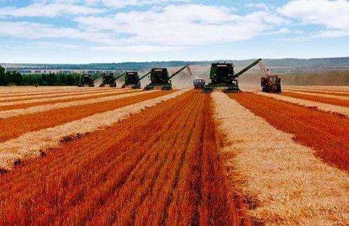 哈(ha)爾(er)濱(bin)的得(de)名與(yu)農(nong)業(ye)旅(lv)遊發(fa)展前(qian)景