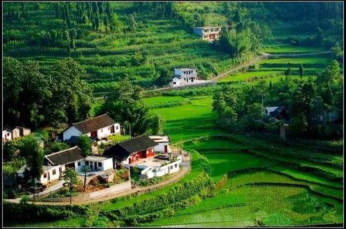 四(si)個適(shi)合(he)男(nan)人(ren)的偏門小(xiao)本創(chuang)業(ye)項(xiang)目 農業(ye)旅(lv)遊開發(fa)的機(ji)遇(yu)