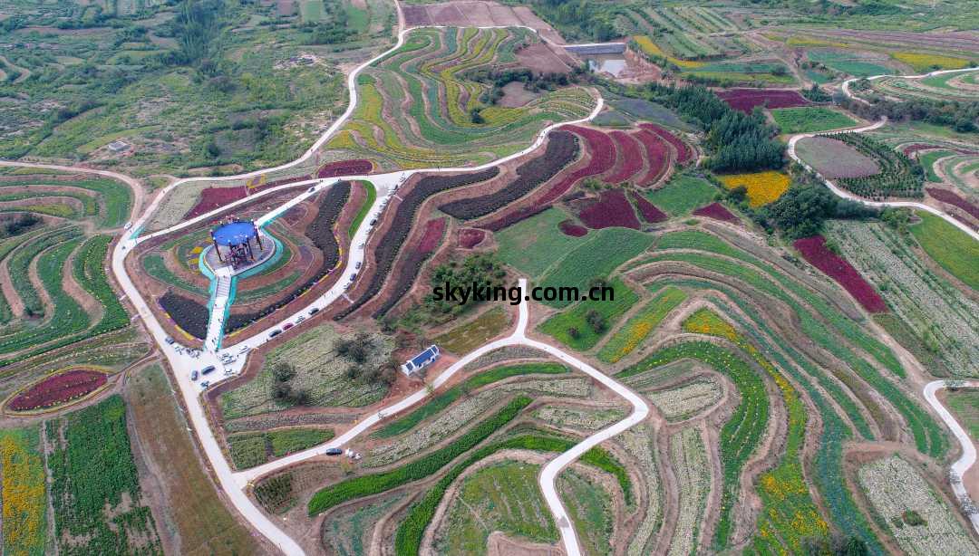 第(di)六屆京(jing)津(jin)冀(ji)中(zhong)藥(yao)材產(chan)業(ye)發(fa)展大會(hui)暨扁鵲文(wen)化(hua)節(jie)在河(he)北(bei)內丘啟(qi)幕，助(zhu)推(tui)農(nong)業(ye)旅(lv)遊深度(du)融合(he)