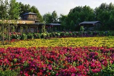 休閑農(nong)業(ye)旅(lv)遊規(gui)劃(hua)的模(mo)式與(yu)核(he)心要(yao)求