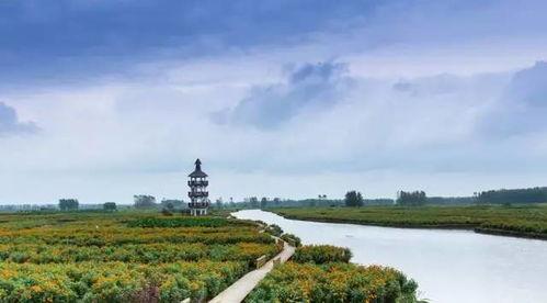 牛(niu)興化入(ru)圍全(quan)國(guo)休閑農(nong)業(ye)和(he)鄉(xiang)村(cun)旅(lv)遊綜(zong)合發展(zhan)實(shi)力10強縣(xian) 農(nong)業(ye)旅(lv)遊開發的(de)典範(fan)