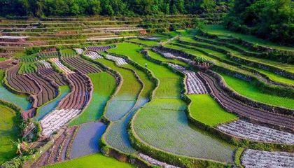 洛江(jiang)農(nong)業(ye)旅(lv)遊開發 適合(he)的(de)模(mo)式分析(xi)與展(zhan)望(wang)