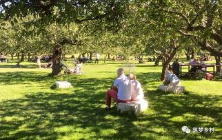 中國(guo)農(nong)業(ye)旅(lv)遊的(de)發(fa)展(zhan)歷(li)程(cheng)與盈利(li)模(mo)式探(tan)析(xi)