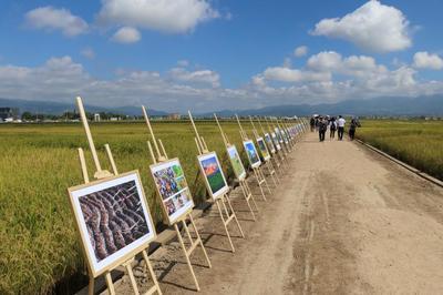 豐(feng)收(shou)雲(yun)南·暢(chang)遊(you)保山——2023年(nian)中國(guo)農(nong)民豐(feng)收(shou)節系列(lie)活動(dong)暨農(nong)業(ye)旅(lv)遊開發新(xin)篇章