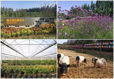 2018文(wen)旅(lv)地(di)產與(yu)農(nong)業旅(lv)遊(you)開發(fa)專題研(yan)討(tao)會 美麗鄉村(cun)與(yu)特(te)色(se)小鎮新(xin)機遇(yu)