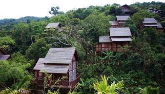 農(nong)業旅(lv)遊(you)開發(fa)新(xin)路徑 中國(guo)旅(lv)遊(you)民宿產(chan)業創新(xin)與生態(tai)發(fa)展論壇在(zai)海南(nan)舉(ju)辦