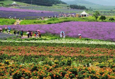 探索(suo)休(xiu)閑農(nong)業多元發(fa)展路徑與科學規劃(hua)之道(dao)