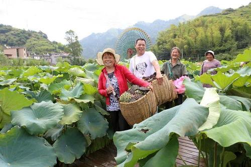 請人民閱(yue)卷丨(shu)村頭鎮(zhen) 瞄準(zhun)新方(fang)位，扛起(qi)新使命，全面開啟(qi)農(nong)旅(lv)融(rong)合(he)新篇(pian)章(zhang)